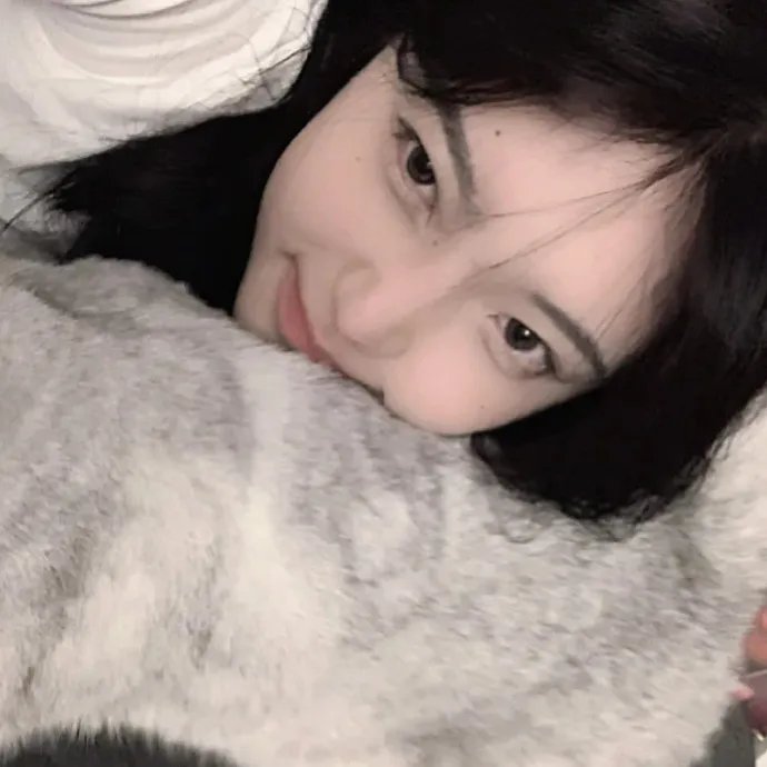 达克布拉德 在线观看